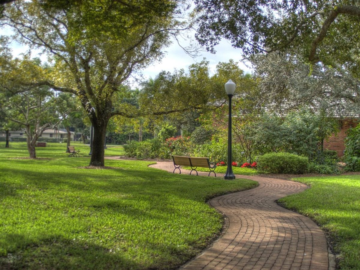 people walking in a park for weight loss