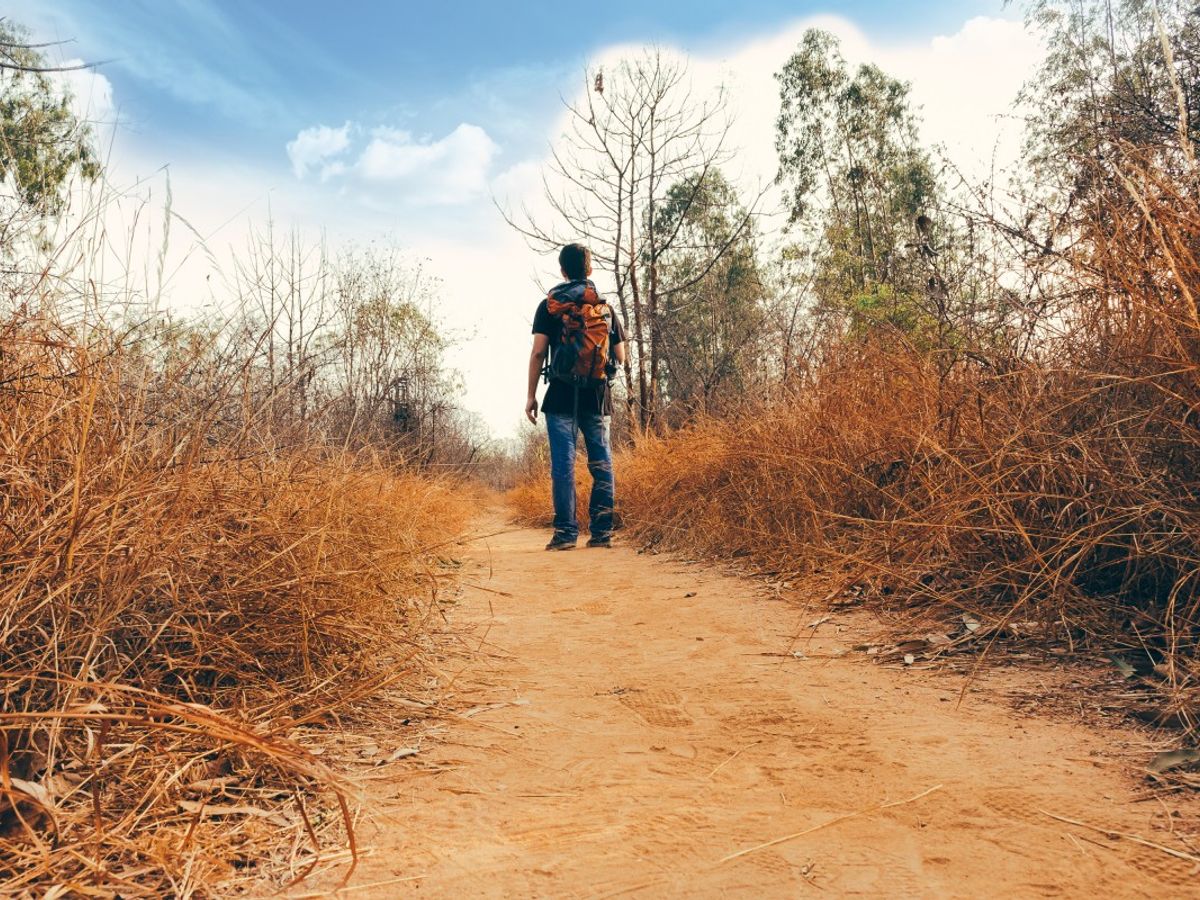 person cycling on a scenic trail for weight loss