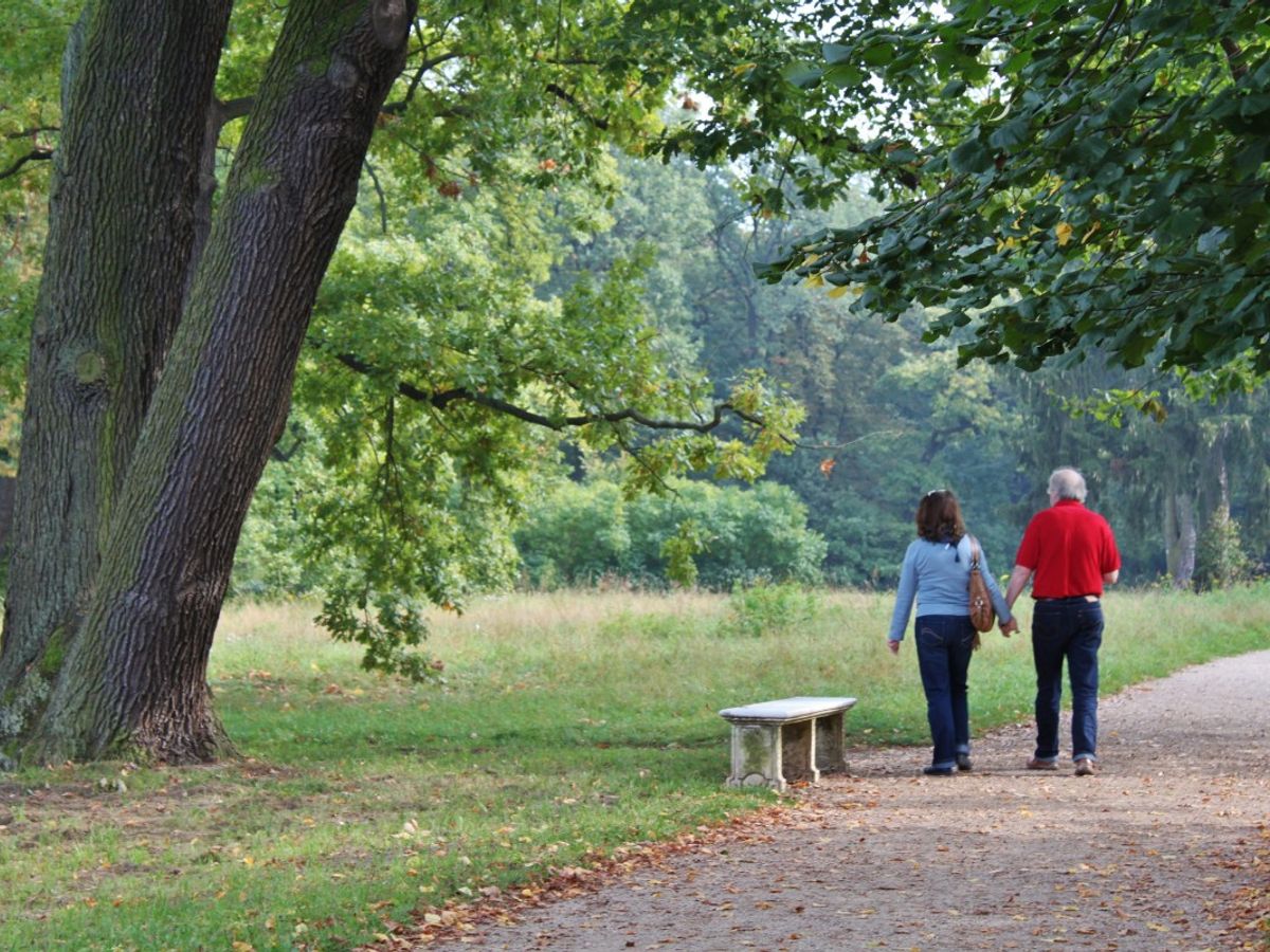 people walking in a park for fitness challenge