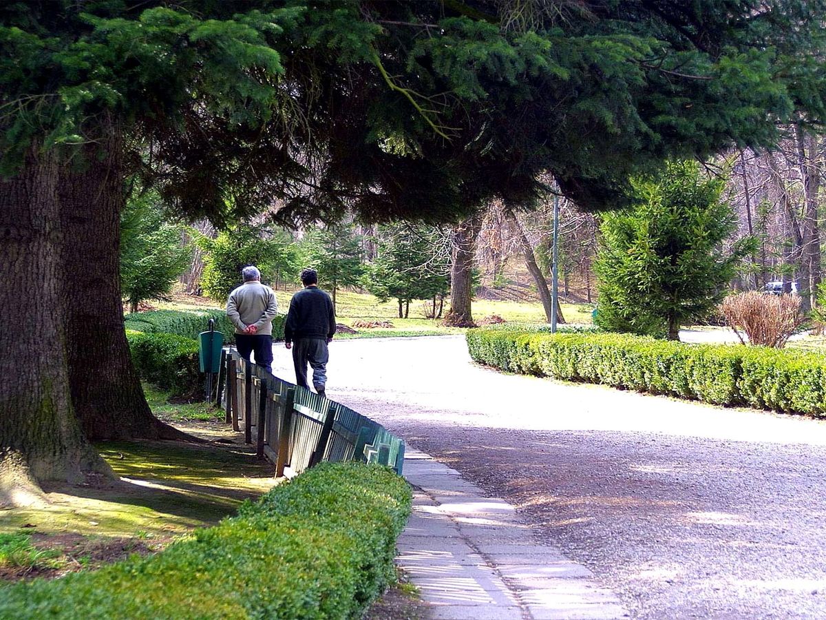 people walking in a park for exercise