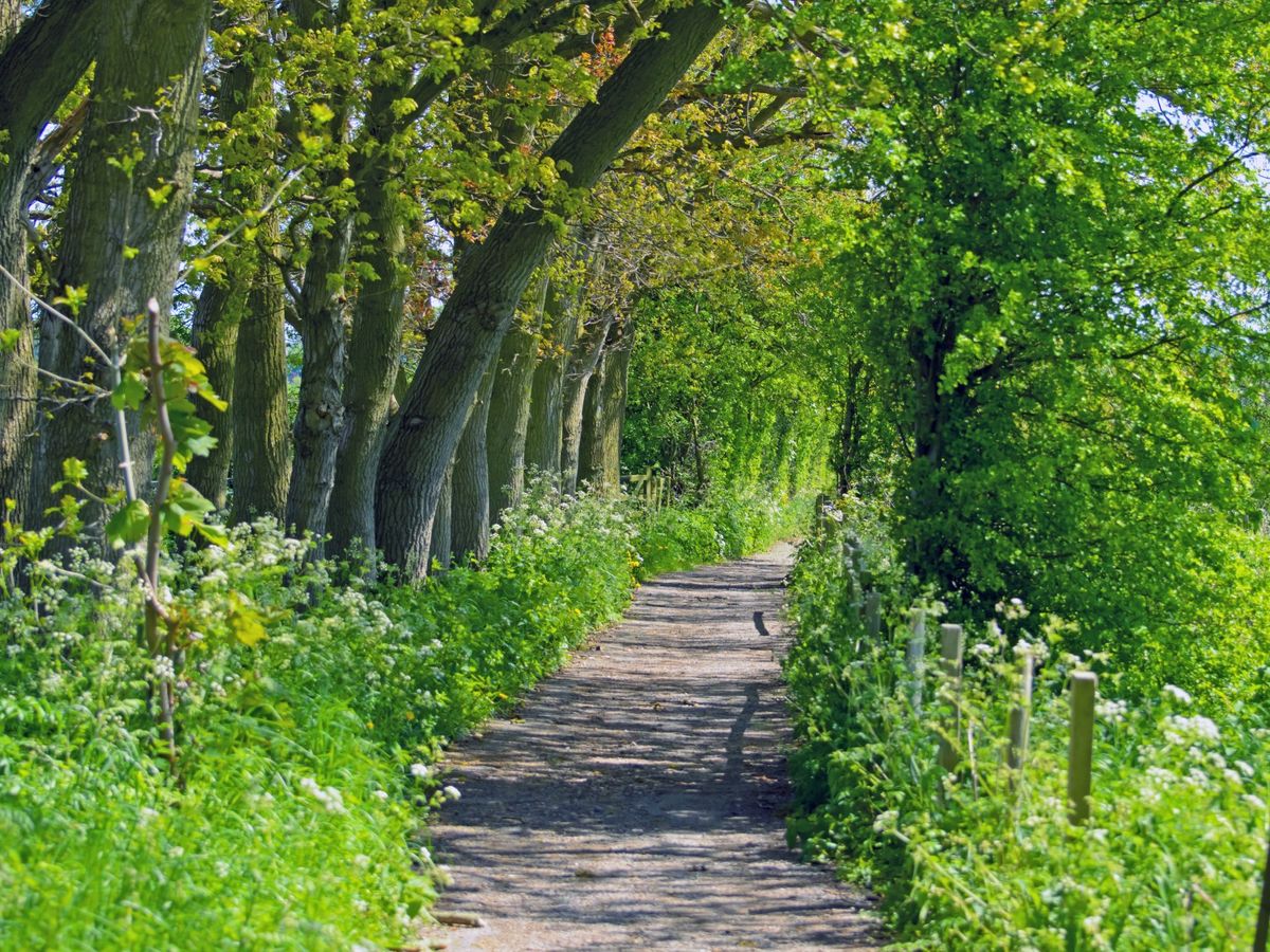 people exercising in a scenic European retreat