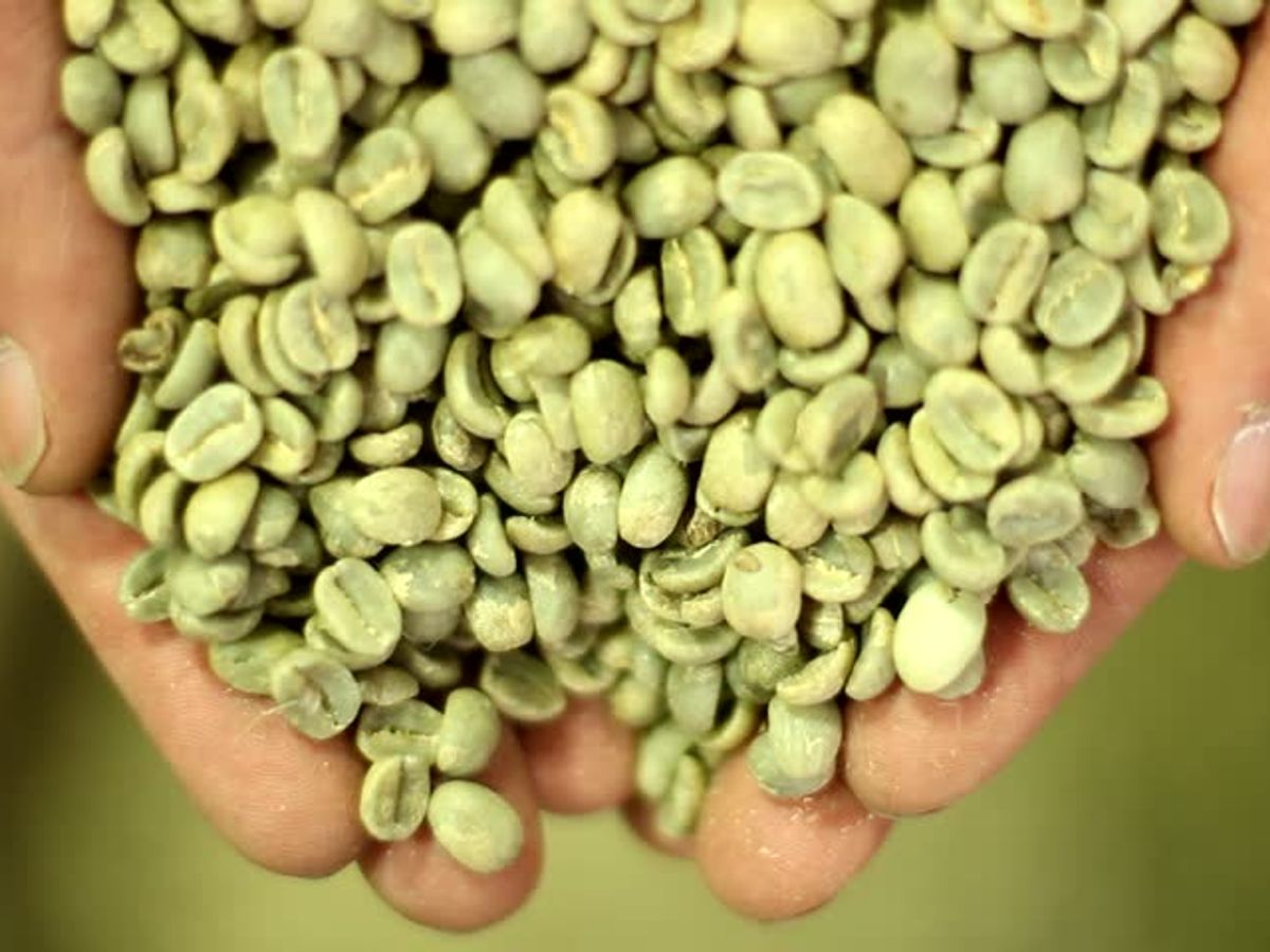 green coffee beans and weight loss supplements