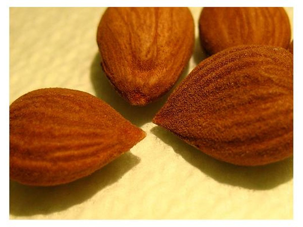 healthy snacks almonds weight loss